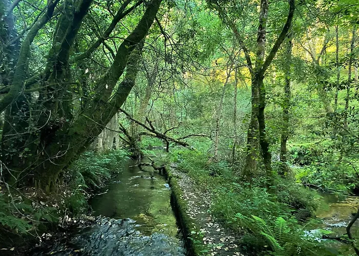 Casa Vanguardista En El Campo Cerca De Santiago