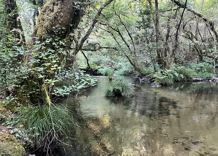 Casa Vanguardista En El Campo Cerca De Santiago 別荘 ポンテベドラ
